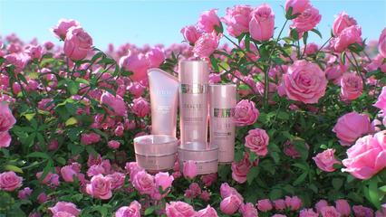 玫瑰花與三維場景 Skycaier文教用品的創意融合